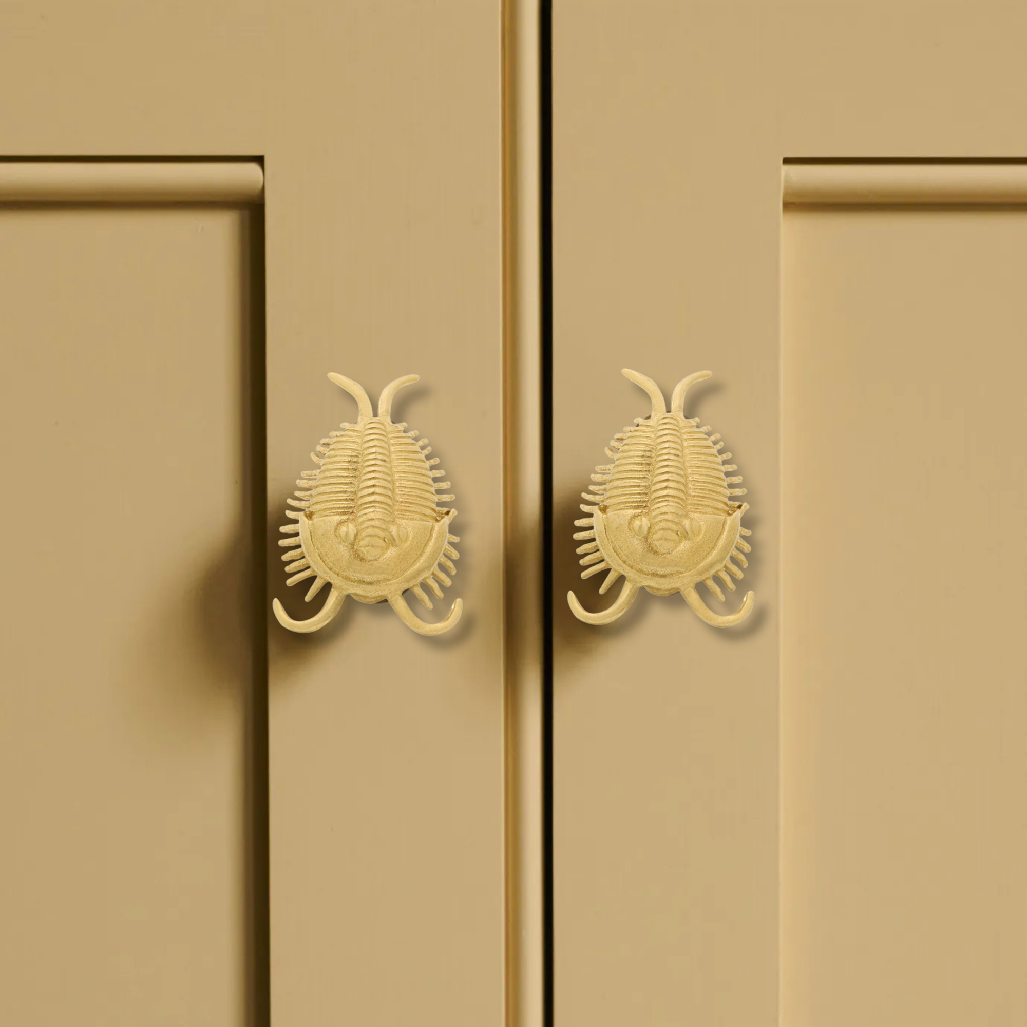 Knobelle Massiver Messing-Trilobitenknauf – Antiker Fossilien-Schubladengriff, prähistorischer Schrankgriff, zeitloser erdiger Akzent