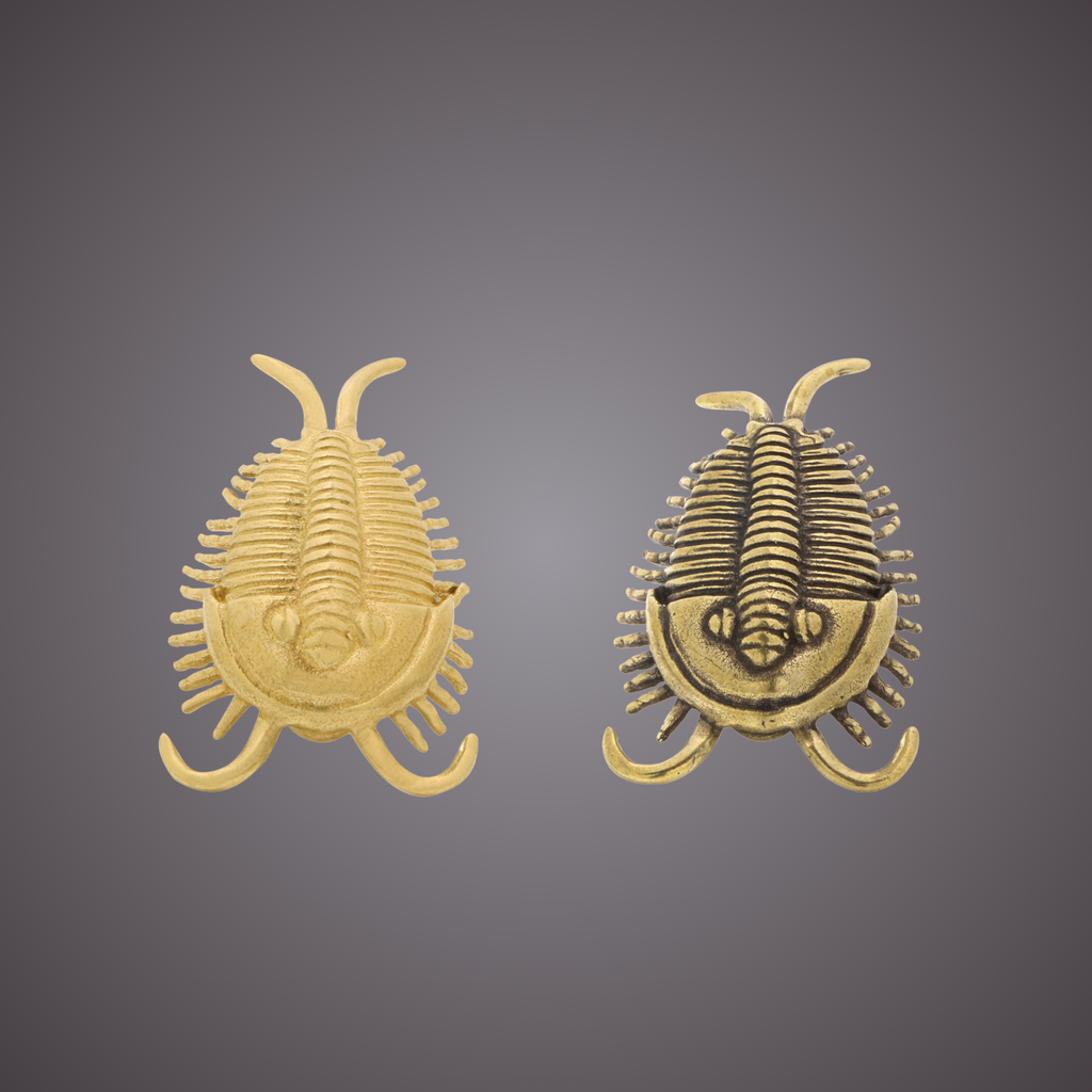 Knobelle Massiver Messing-Trilobitenknauf – Antiker Fossilien-Schubladengriff, prähistorischer Schrankgriff, zeitloser erdiger Akzent