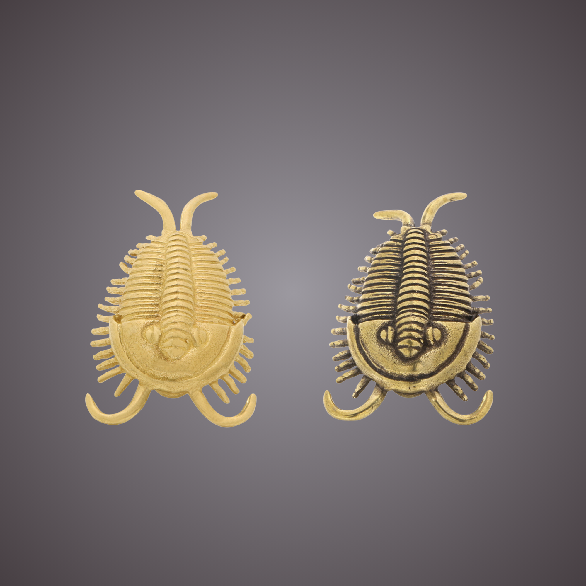 Knobelle Massiver Messing-Trilobitenknauf – Antiker Fossilien-Schubladengriff, prähistorischer Schrankgriff, zeitloser erdiger Akzent