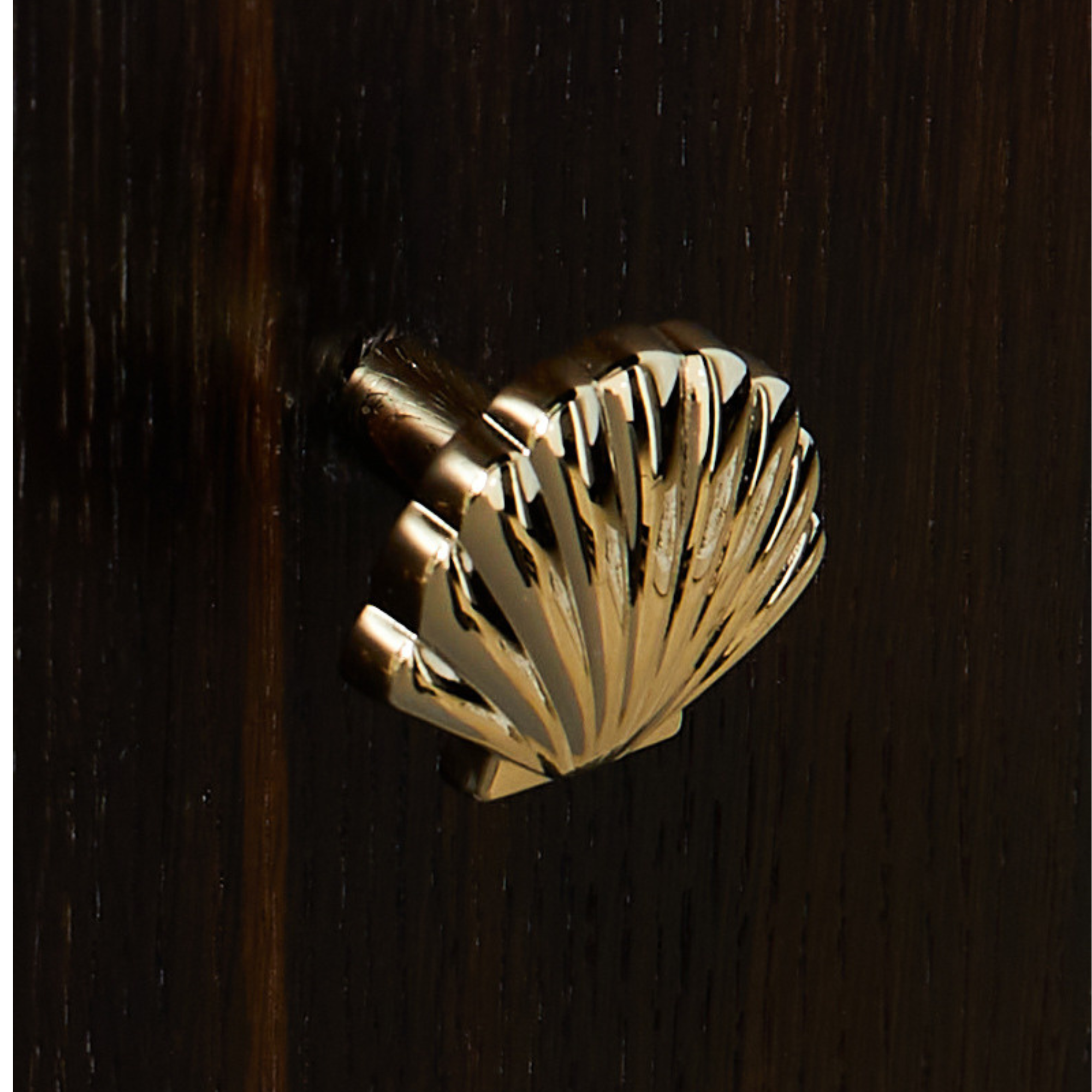 Knobelle Auréa  Marine Shell Cabinet Knob – Gold & Silver Seashell Drawer Pull | Golden Creatures Collection