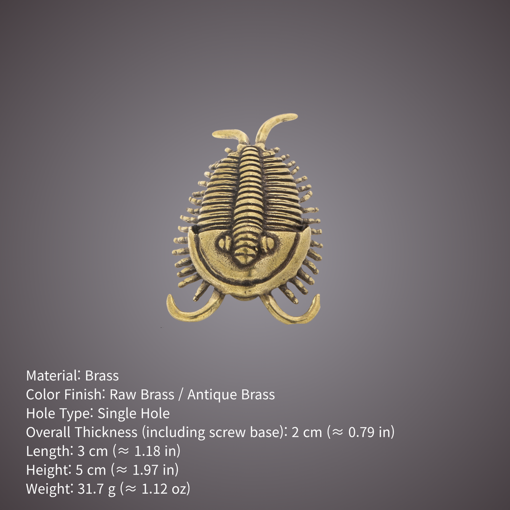 Knobelle Massiver Messing-Trilobitenknauf – Antiker Fossilien-Schubladengriff, prähistorischer Schrankgriff, zeitloser erdiger Akzent