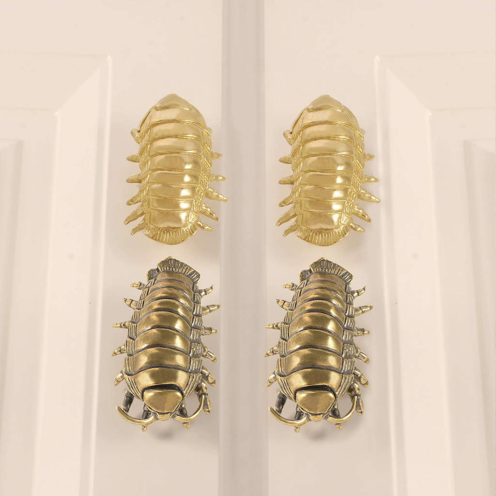 Knobelle Auréa Marine – Brass Isopod Cabinet Knob | Unique Bug-Inspired Drawer Pull for Furniture