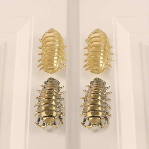 Knobelle Auréa Marine – Brass Isopod Cabinet Knob | Unique Bug-Inspired Drawer Pull for Furniture