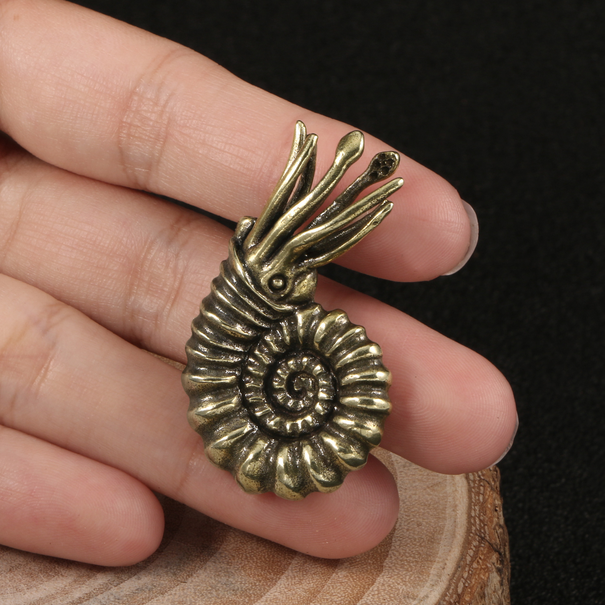 Knobelle Solid Brass Ammonite Cabinet Knob – Nautical Shell Drawer Pull