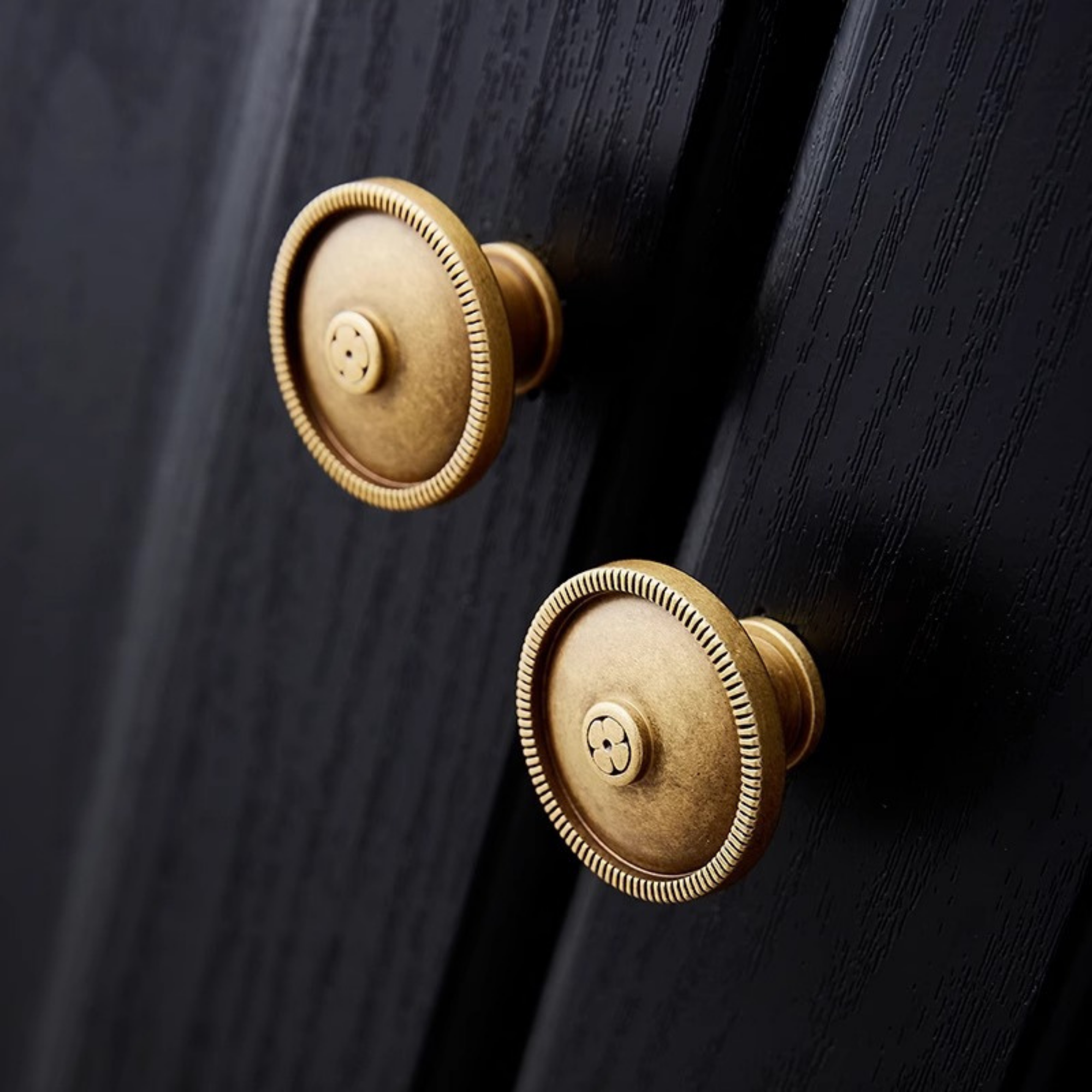 Knobelle Botanique – Antique Brass Cabinet Knobs | Vintage European Drawer Pulls for Cabinets, Dressers & Wardrobes