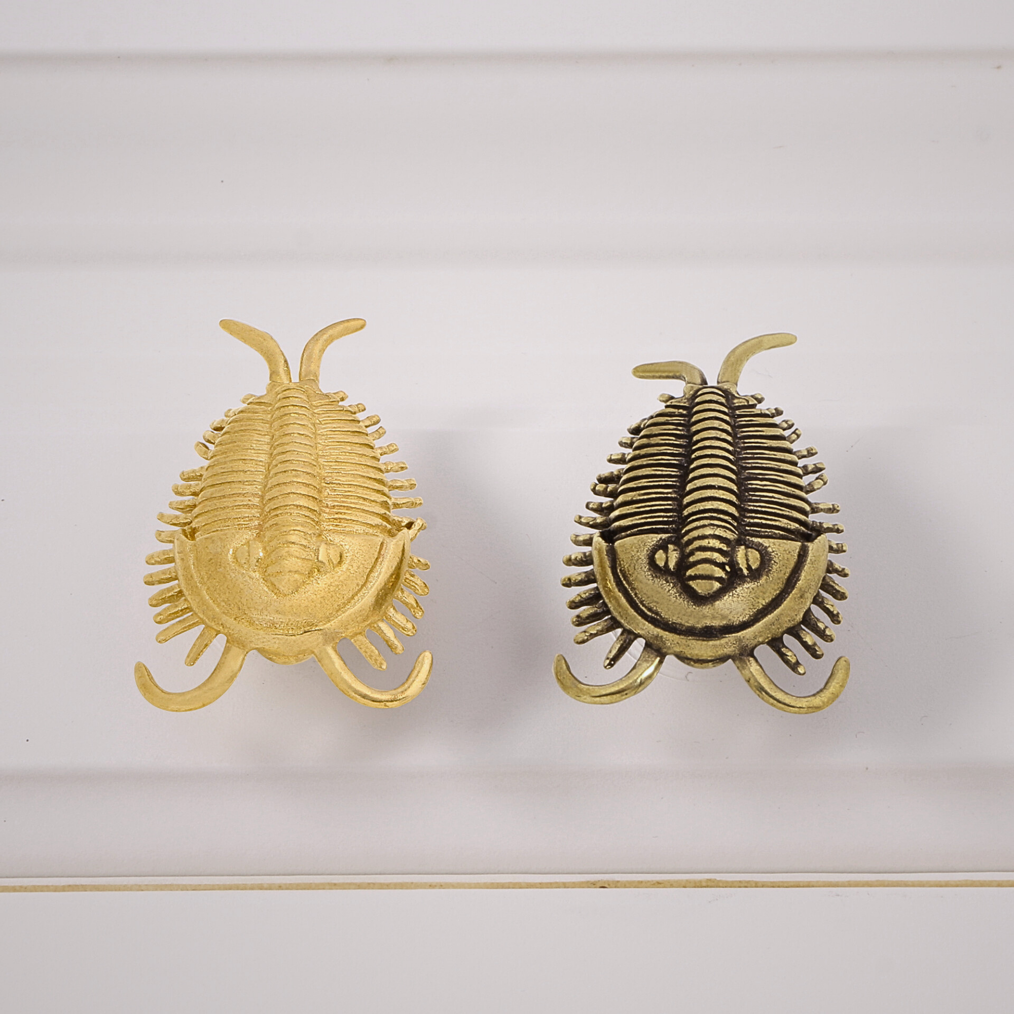 Knobelle Massiver Messing-Trilobitenknauf – Antiker Fossilien-Schubladengriff, prähistorischer Schrankgriff, zeitloser erdiger Akzent