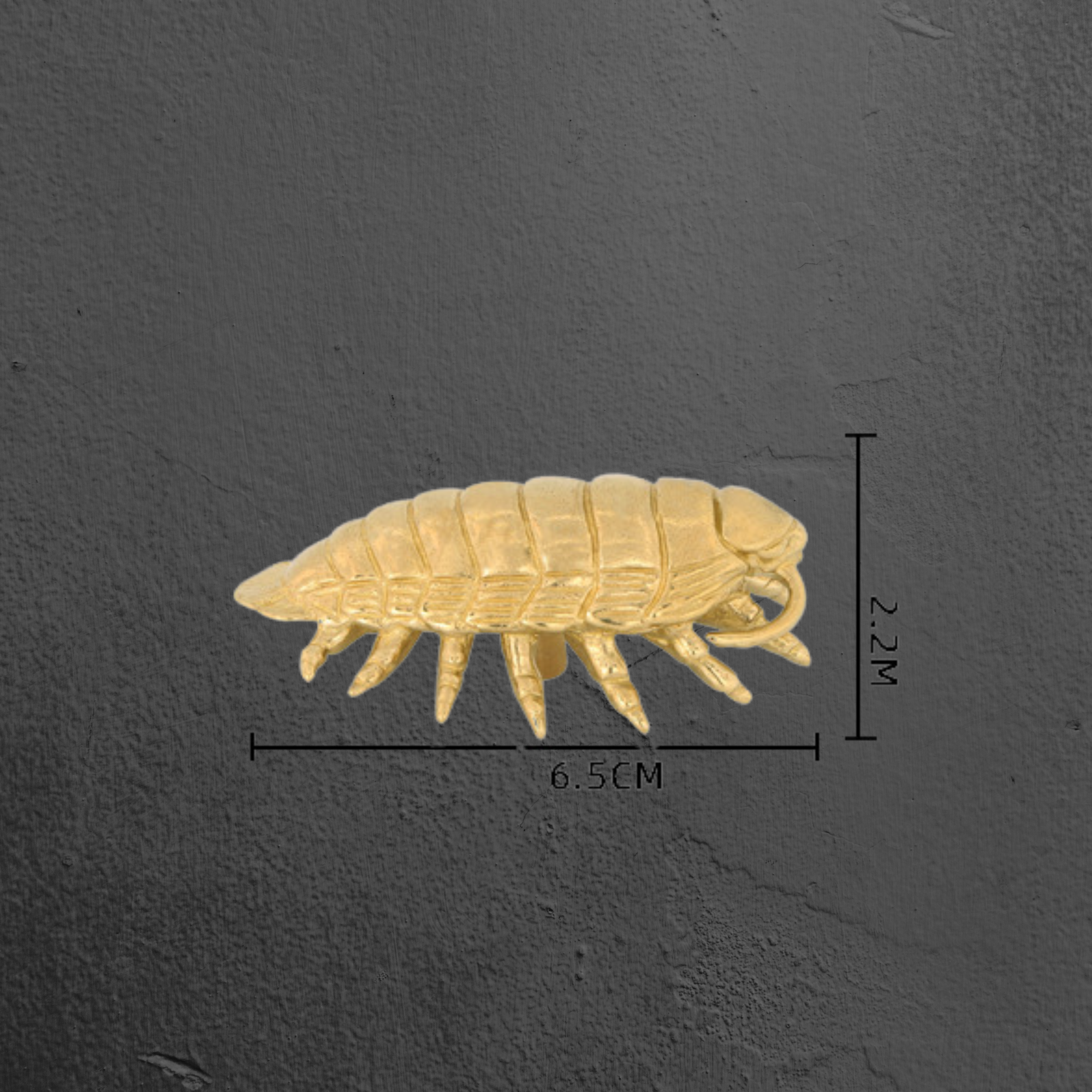 Knobelle Auréa Marine – Brass Isopod Cabinet Knob | Unique Bug-Inspired Drawer Pull for Furniture