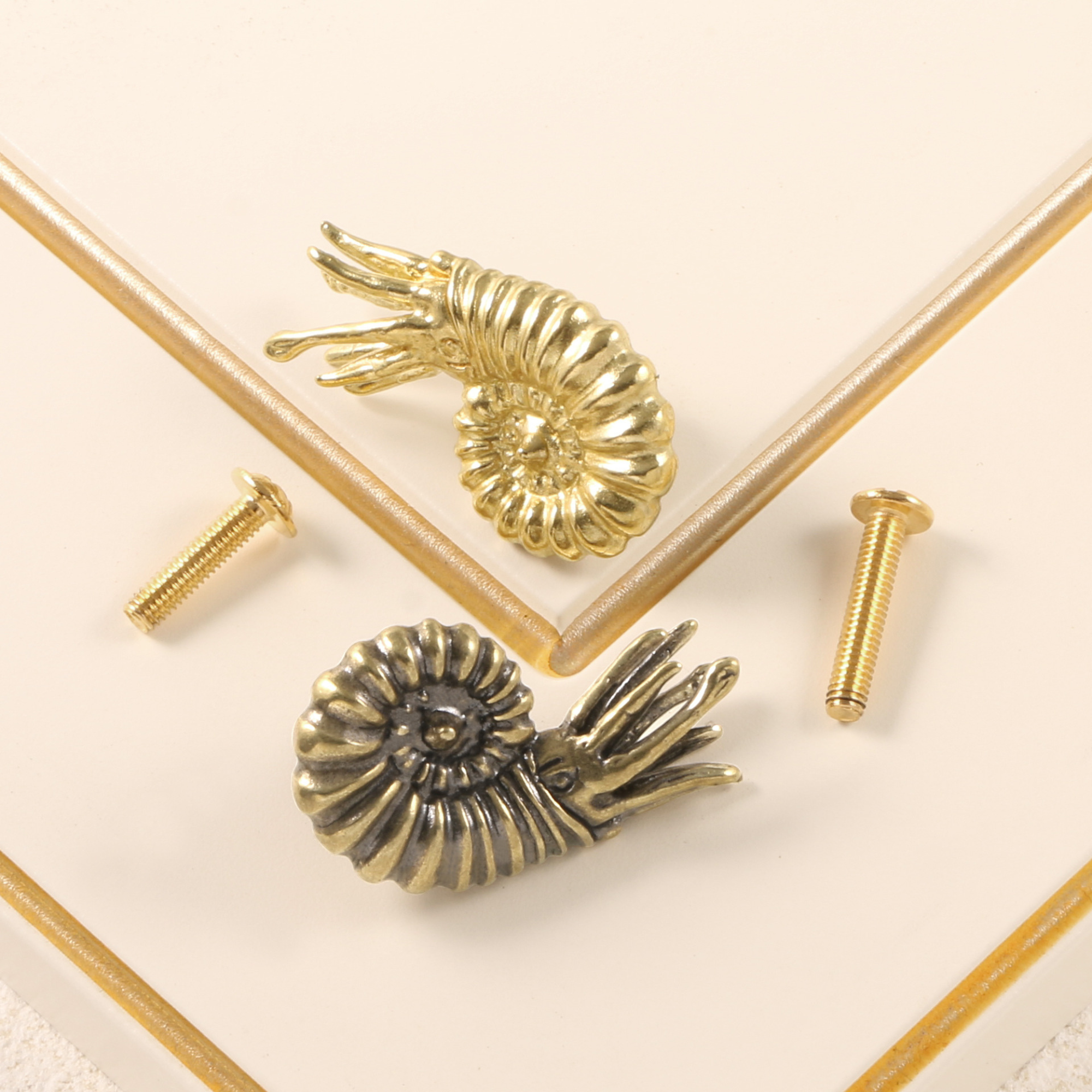 Knobelle Solid Brass Ammonite Cabinet Knob – Nautical Shell Drawer Pull