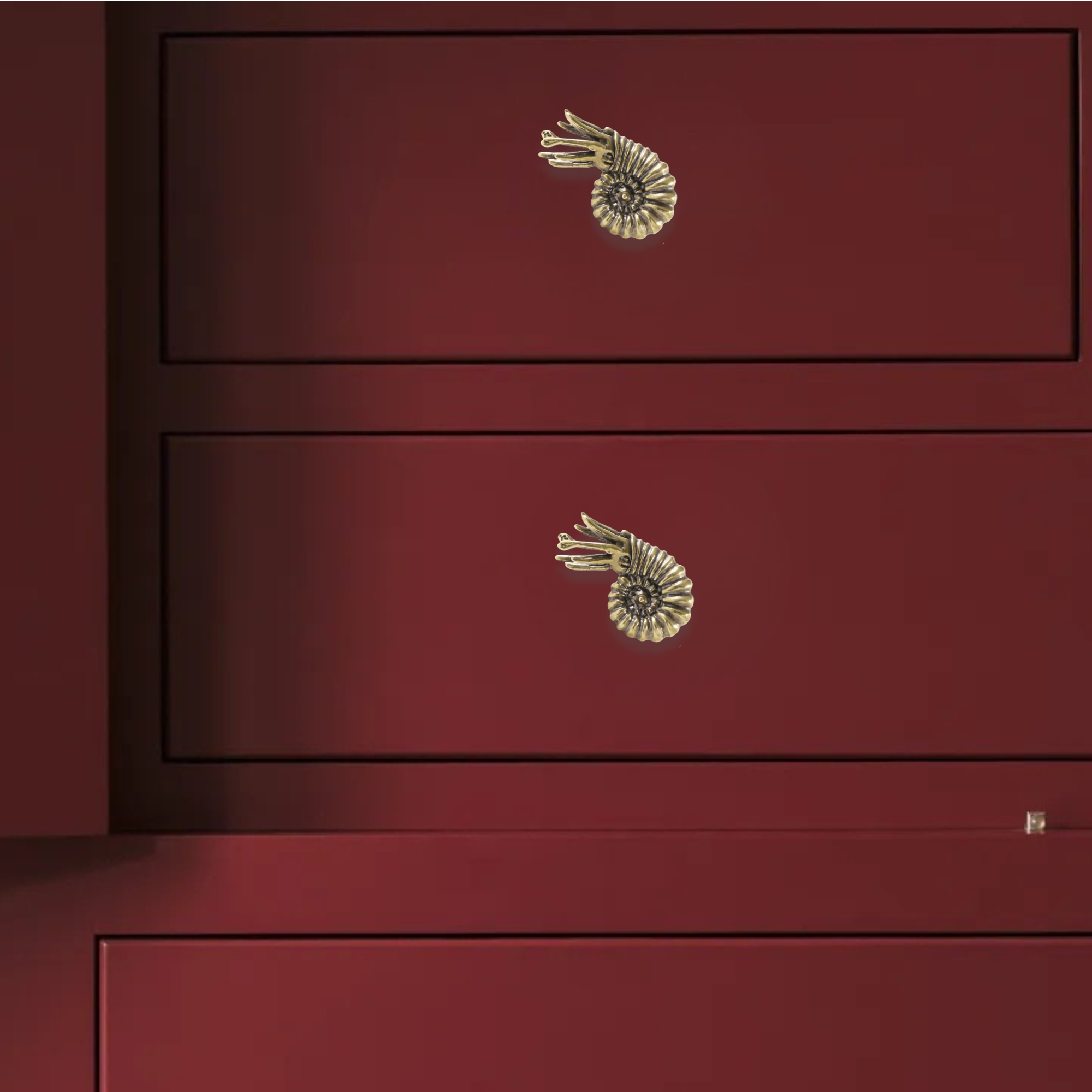 Knobelle Solid Brass Ammonite Cabinet Knob – Nautical Shell Drawer Pull