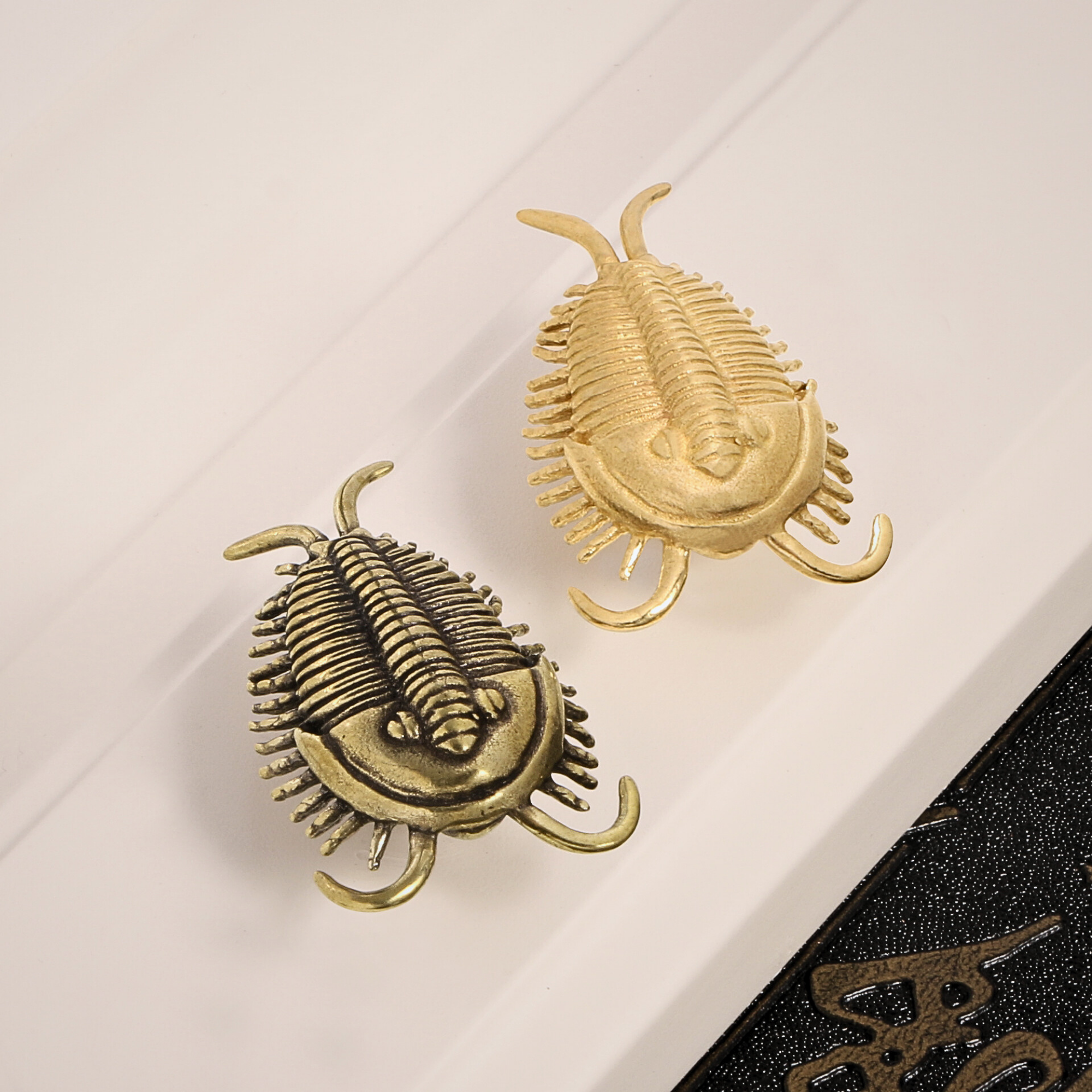 Knobelle Massiver Messing-Trilobitenknauf – Antiker Fossilien-Schubladengriff, prähistorischer Schrankgriff, zeitloser erdiger Akzent