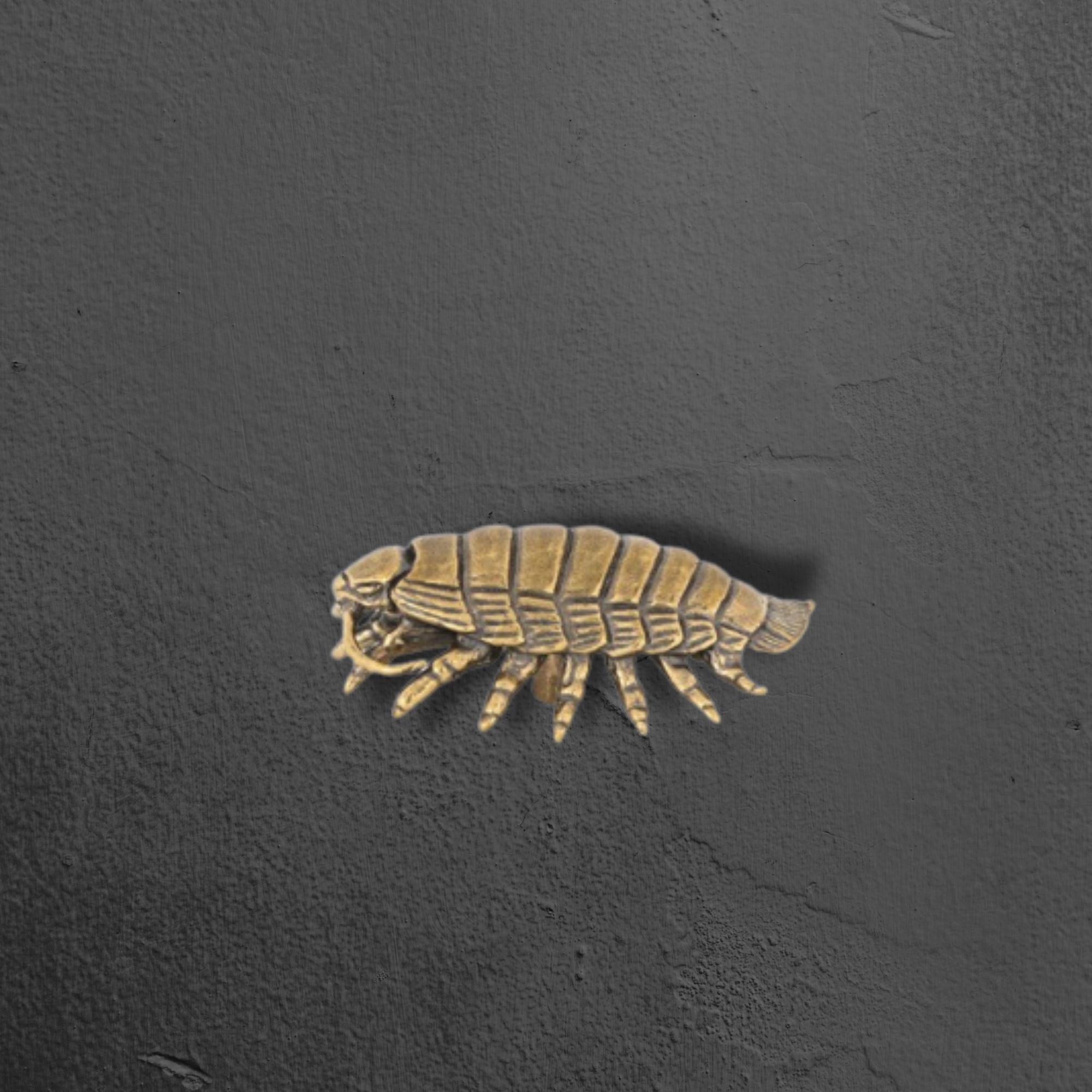 Knobelle Auréa Marine – Brass Isopod Cabinet Knob | Unique Bug-Inspired Drawer Pull for Furniture