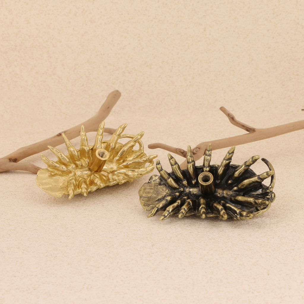 Knobelle Auréa Marine – Brass Isopod Cabinet Knob | Unique Bug-Inspired Drawer Pull for Furniture