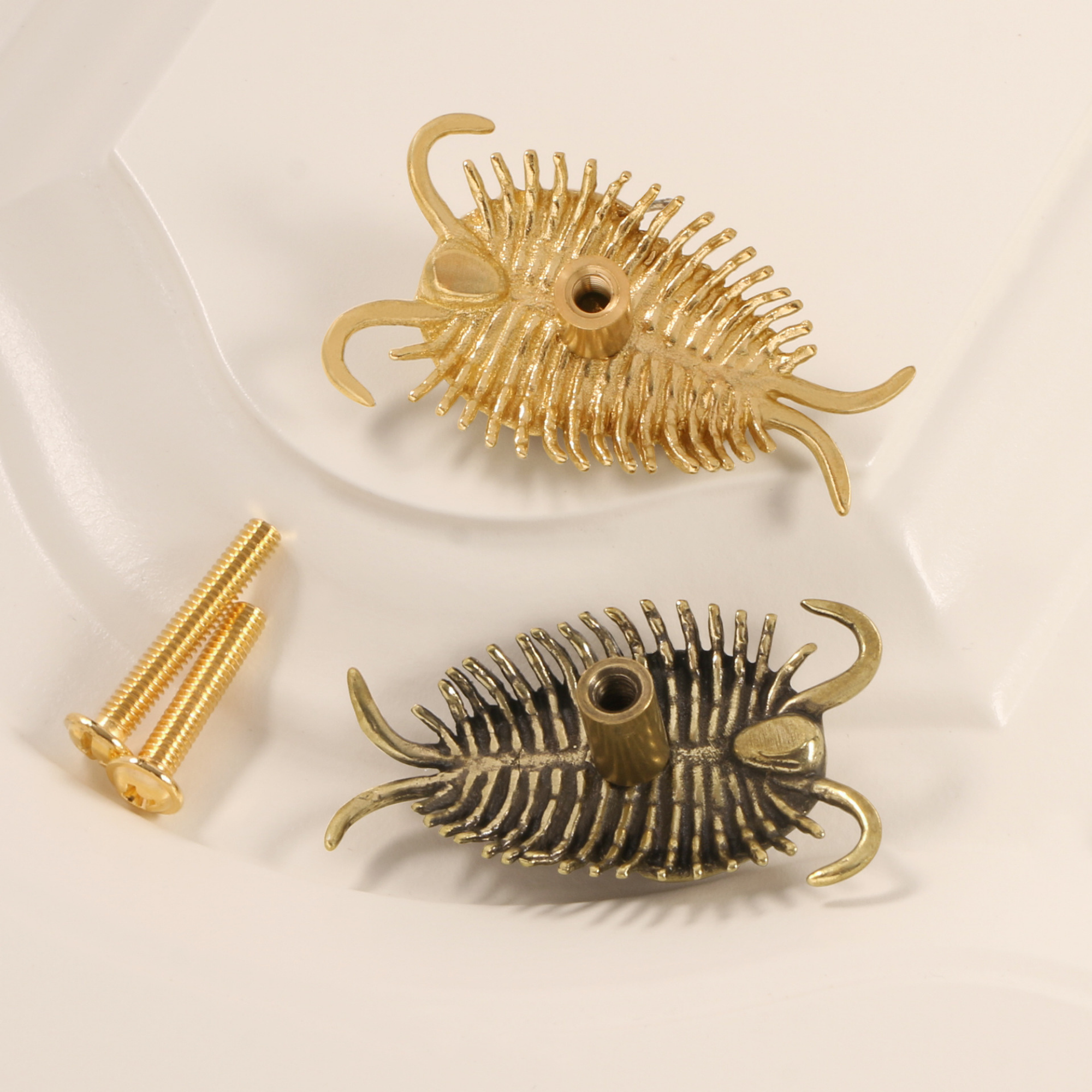Knobelle Massiver Messing-Trilobitenknauf – Antiker Fossilien-Schubladengriff, prähistorischer Schrankgriff, zeitloser erdiger Akzent