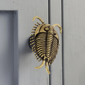 Knobelle Massiver Messing-Trilobitenknauf – Antiker Fossilien-Schubladengriff, prähistorischer Schrankgriff, zeitloser erdiger Akzent