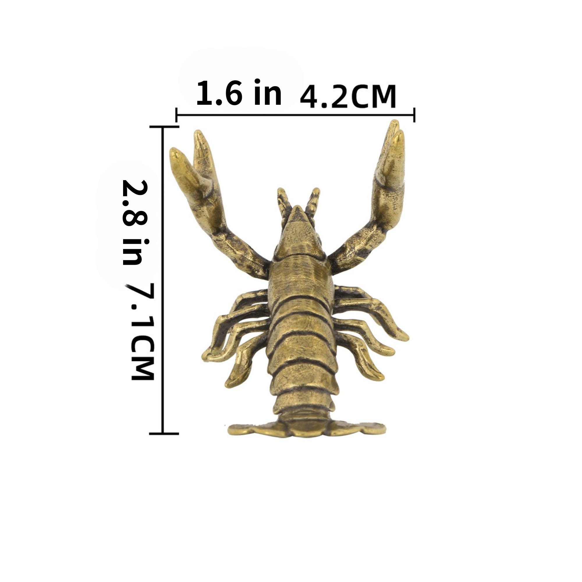 Knobelle Auréa  Marine – Brass Lobster Cabinet Knob | Nautical Drawer Pull for Coastal Decor