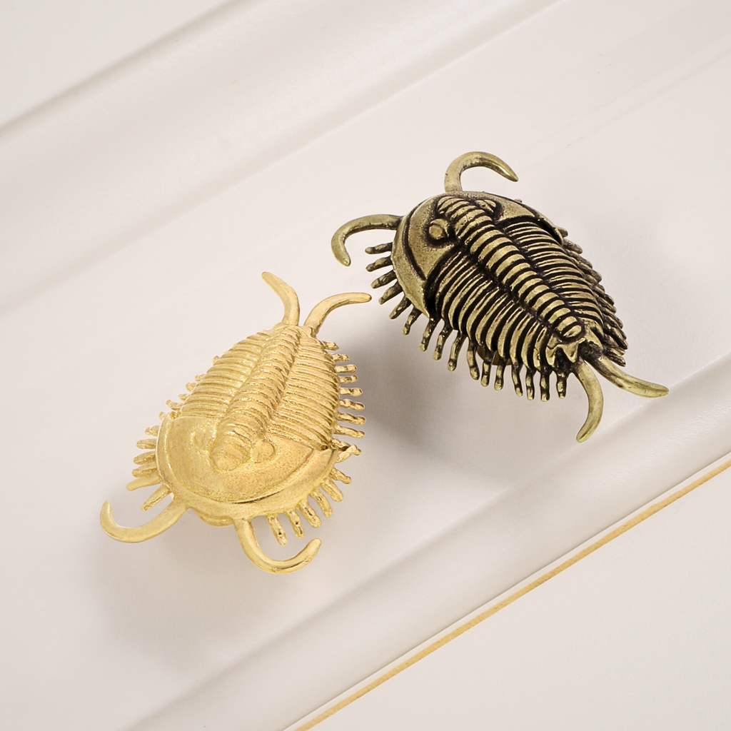 Knobelle Massiver Messing-Trilobitenknauf – Antiker Fossilien-Schubladengriff, prähistorischer Schrankgriff, zeitloser erdiger Akzent