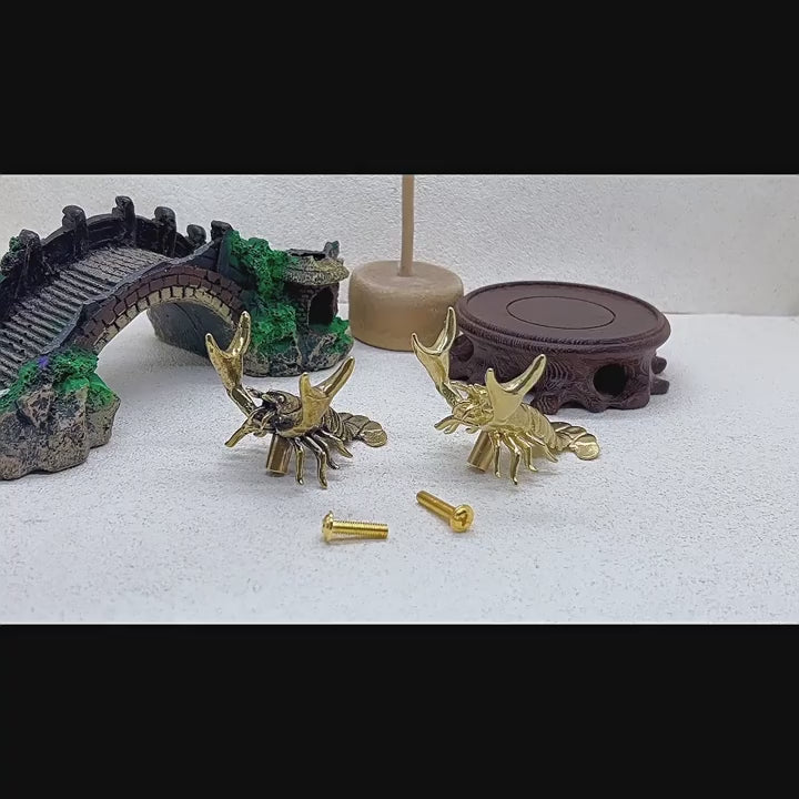 Knobelle Auréa  Marine – Brass Lobster Cabinet Knob | Nautical Drawer Pull for Coastal Decor