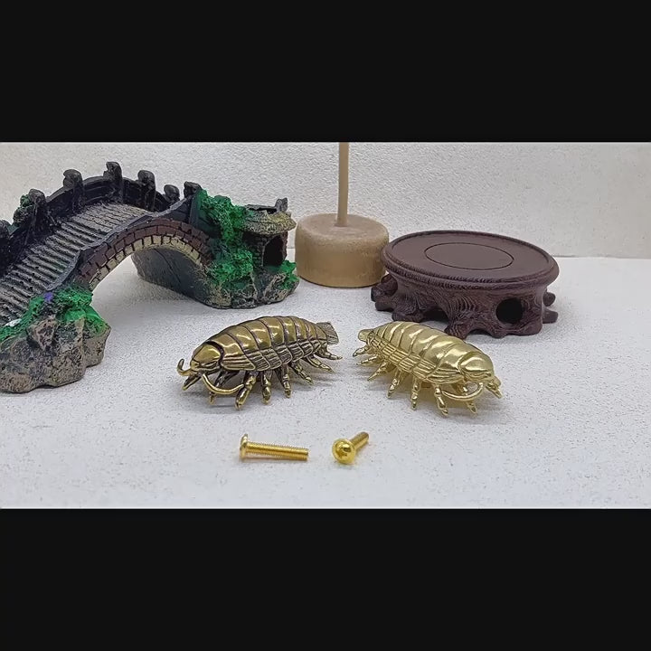 Knobelle Auréa Marine – Brass Isopod Cabinet Knob | Unique Bug-Inspired Drawer Pull for Furniture